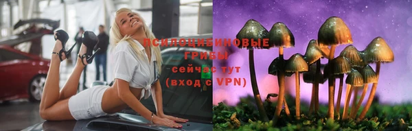 молекула духа Белокуриха