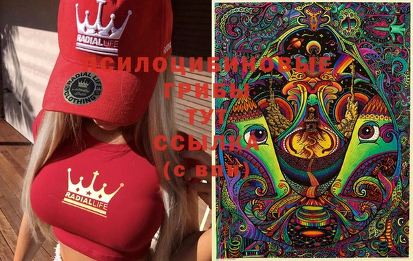 молекула духа Белокуриха
