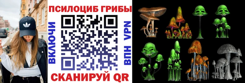 купить наркоту  Покровск  Галлюциногенные грибы прущие грибы 